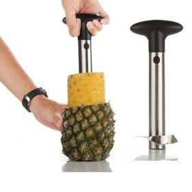 Pretty Prickly Pineapple Peeler The 4P Tool